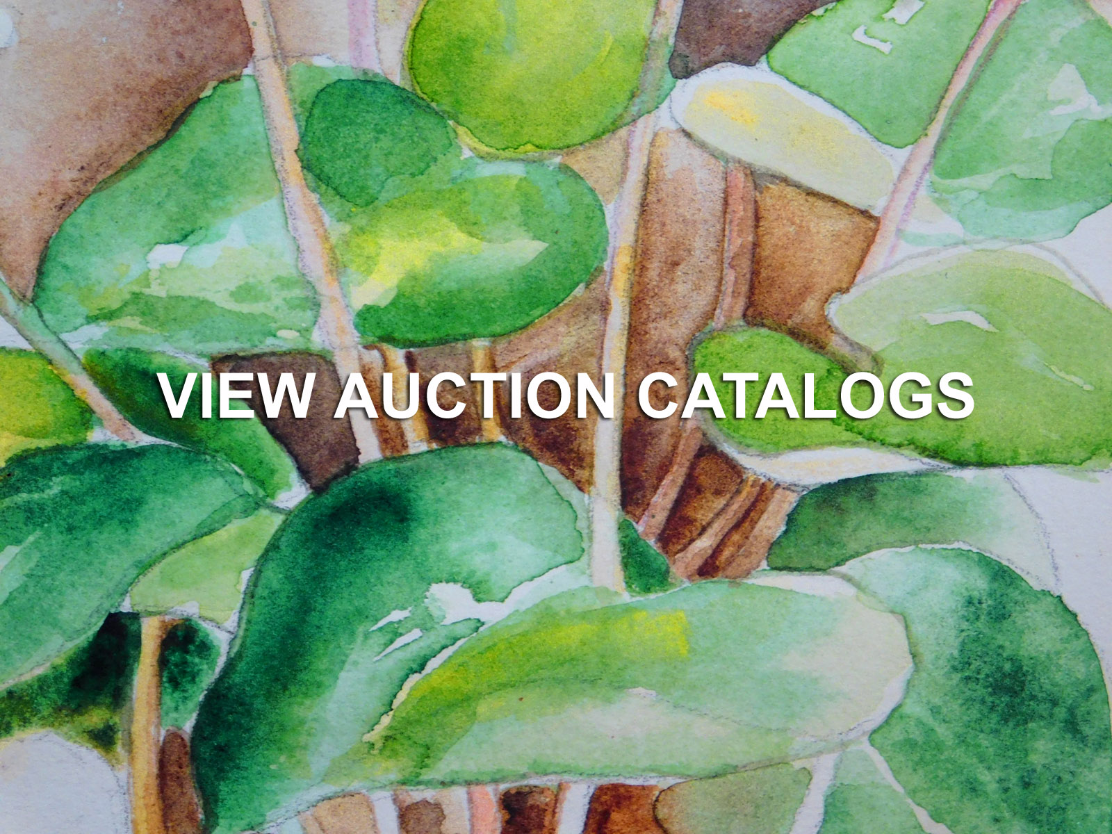 500 Gallery Art Gallery and Auctioneer of Artworks